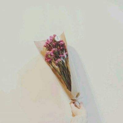 求生之王风暴坦克游戏下载